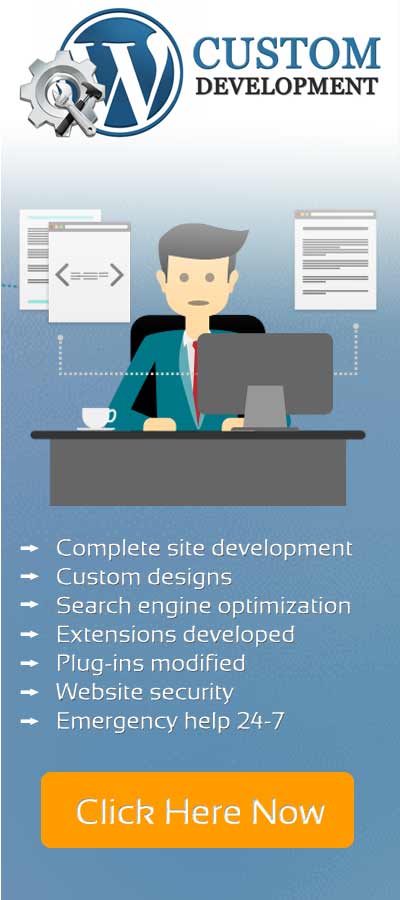 custom programming, application development and designing of Wordpress websites